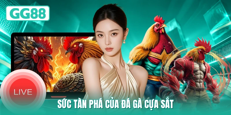 Sức tàn phá của đá gà cựa sắt